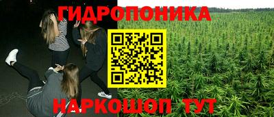 дмт Славянск-на-Кубани