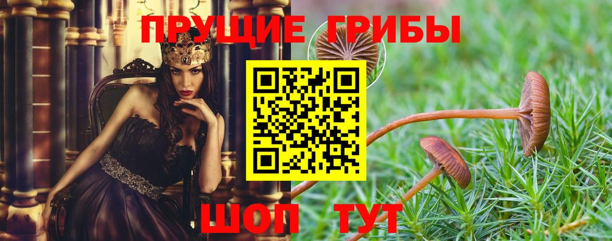 Псилоцибиновые грибы MAGIC MUSHROOMS Орск