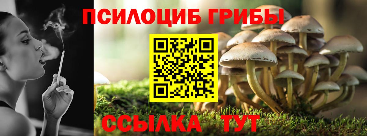 Орск  Галлюциногенные грибы GOLDEN TEACHER  Вход с VPN 
